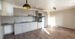 T3 – Apt n°1 au 47 rue Lecourbe